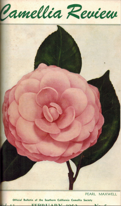cr/Vol 13/CR-0253